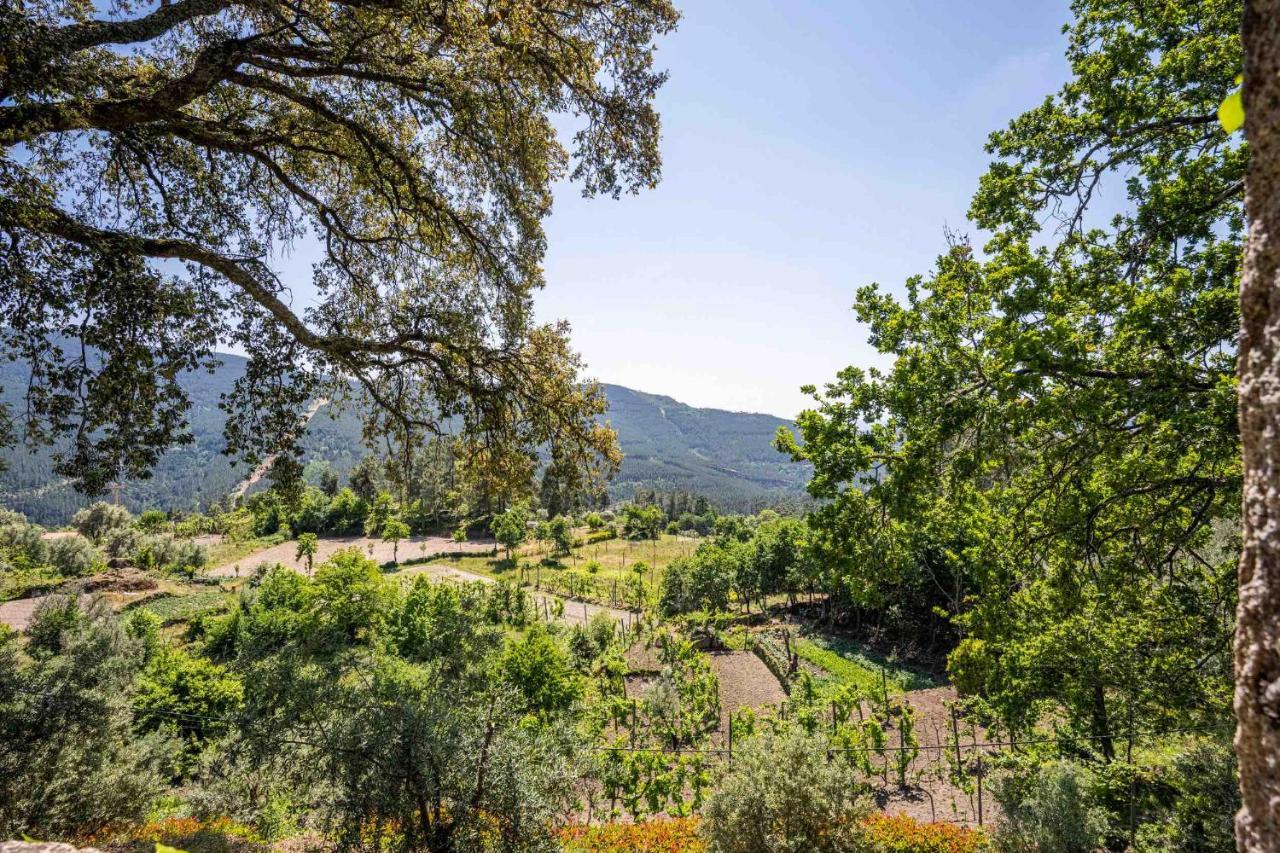 Quinta Da Baldieira Мондин-ди-Башту Экстерьер фото