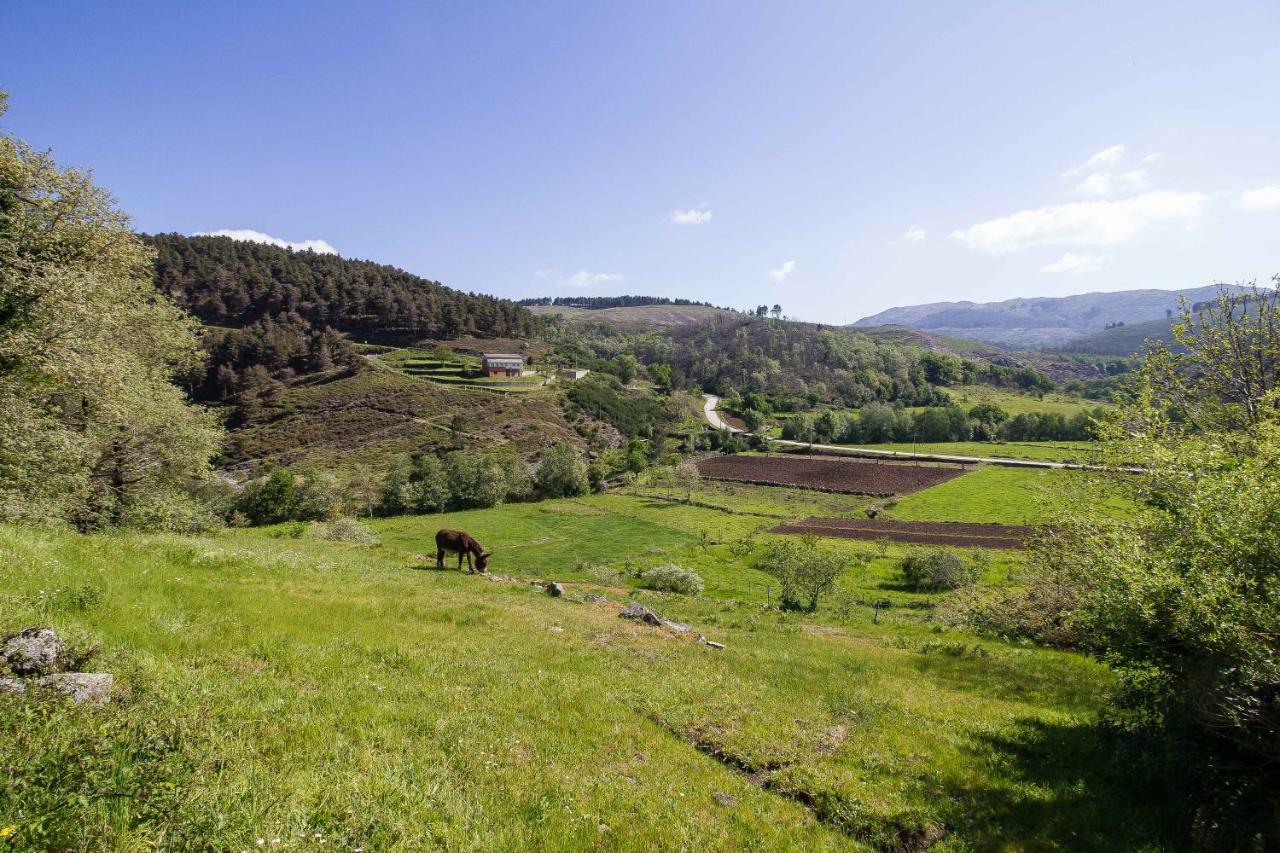 Quinta Da Baldieira Мондин-ди-Башту Экстерьер фото